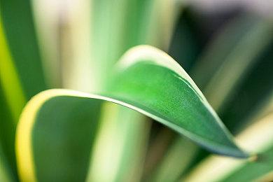 Twitch主播宣称派送PS5引发骚乱后被纽约警方拘捕